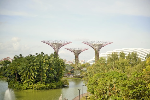 A beautiful panoramic view of Singapore