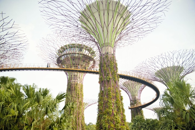 A beautiful panoramic view of Singapore