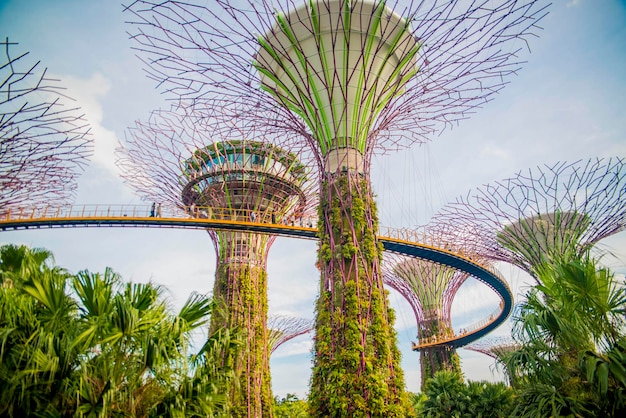 A beautiful panoramic view of Singapore