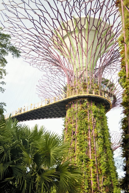 A beautiful panoramic view of Singapore