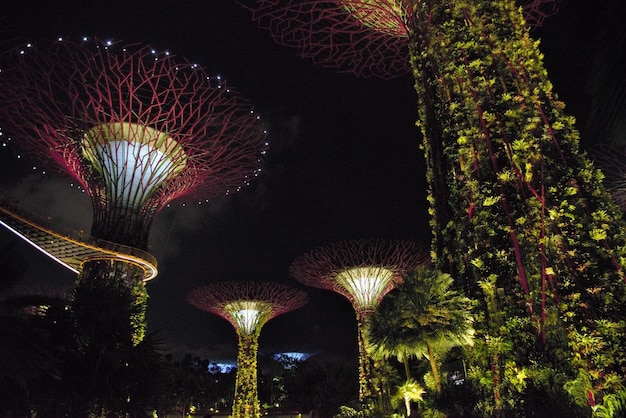 A beautiful panoramic view of Singapore