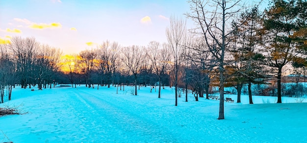 beautiful park in the snow