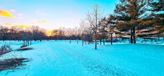 beautiful park in the snow