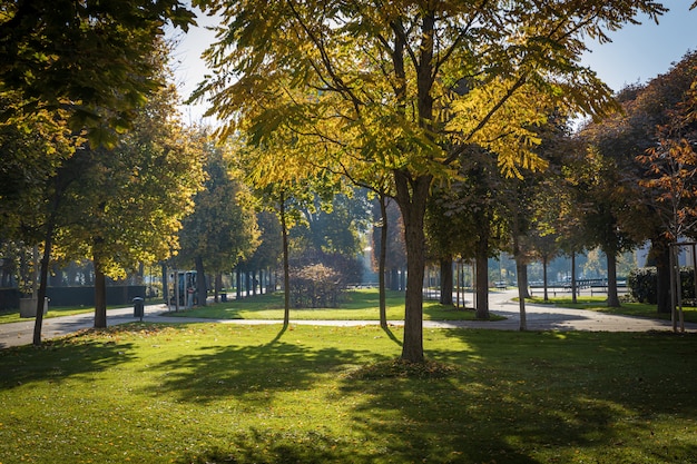 Beautiful park on a sunny day in autumn in Vienna city center