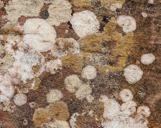 Beautiful patterns and colors on the rocks from natural corrosion for background