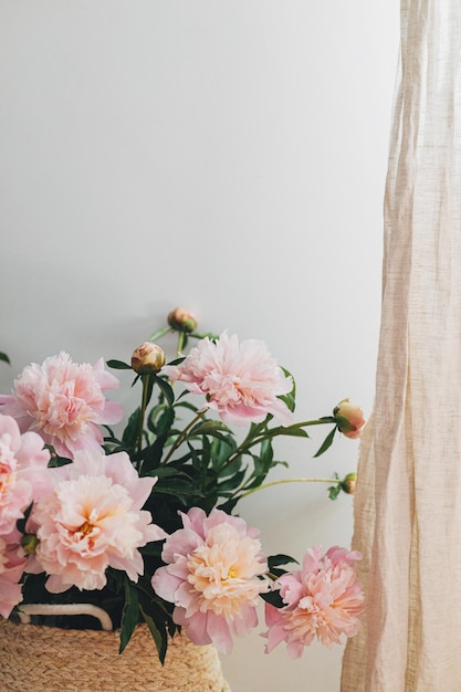 Beautiful peonies bouquet in basket at linen curtains in boho room Modern bohemian decor moody