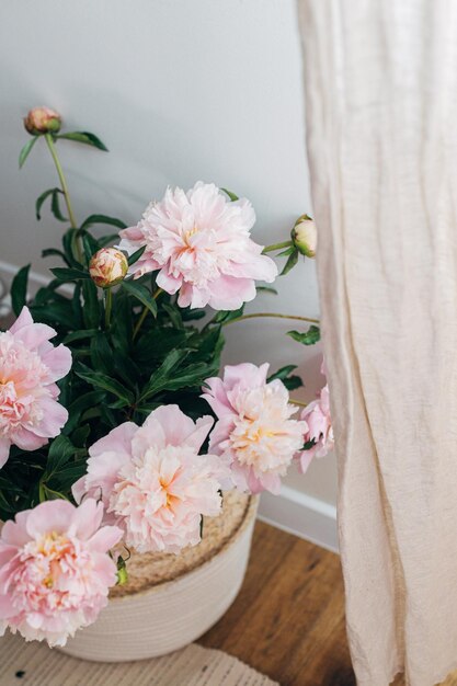 Beautiful peonies bouquet in basket at linen curtains in boho room Modern bohemian decor moody