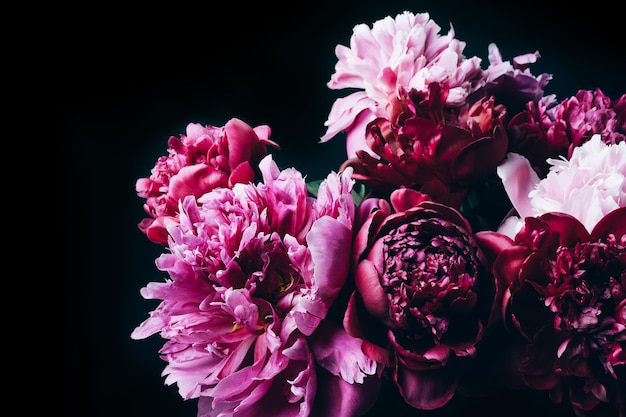 Beautiful peonies bouquet on black Floral background Festive flowers concept