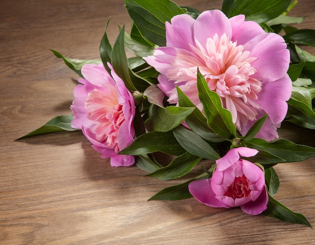 Beautiful peonies on the old board.