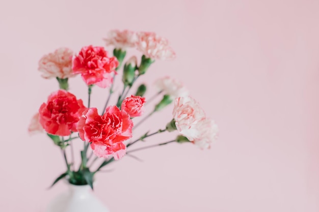 Photo beautiful pink carnation flowers in a vase on a pink pastel background