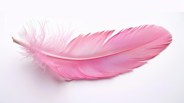 Beautiful pink feather on white background generative ai