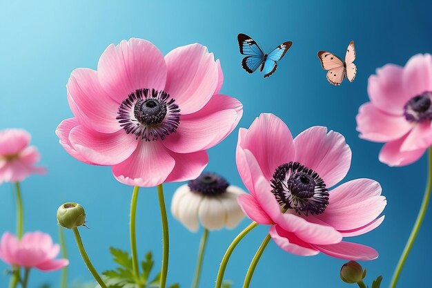 Photo beautiful pink flowers anemones fresh spring morning on nature and flying blue butterfly on soft blue background macro amazing artistic elegant image of spring nature