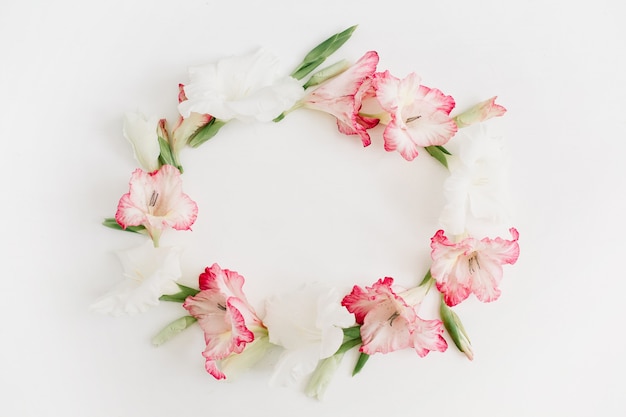 Beautiful pink gladiolus flower frame on white