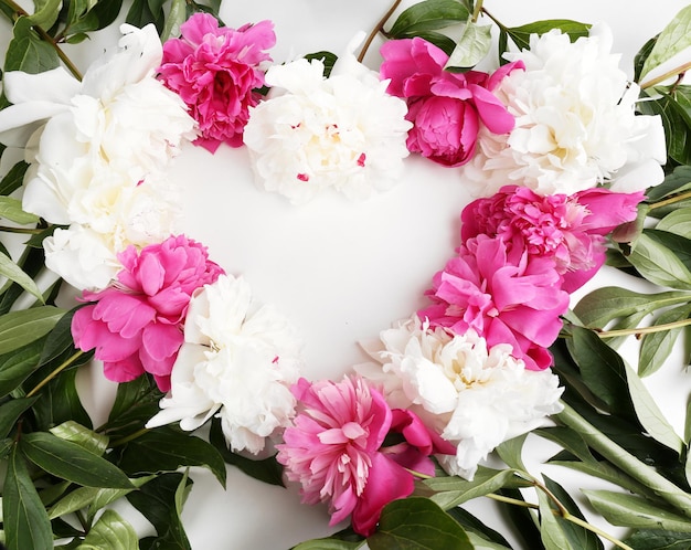 Beautiful pink peonies, close up