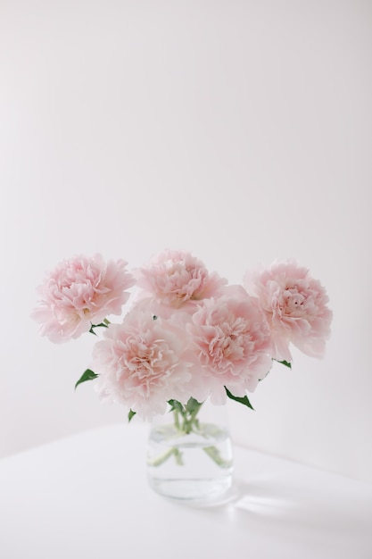 Beautiful pink peonies in a glass vase on white background