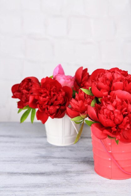 Beautiful pink peonies on grey wall background