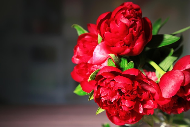 Beautiful pink peonies in vase on dark background