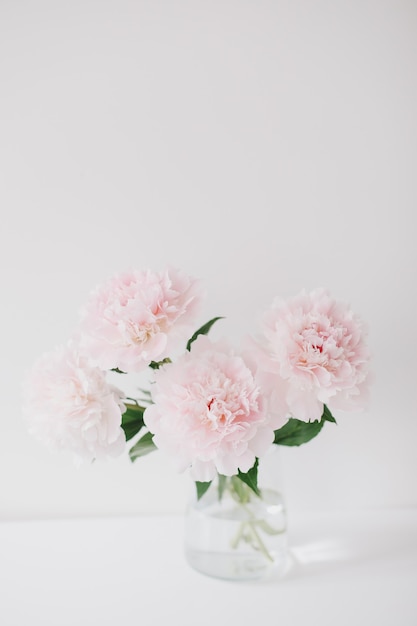 Beautiful pink peonies