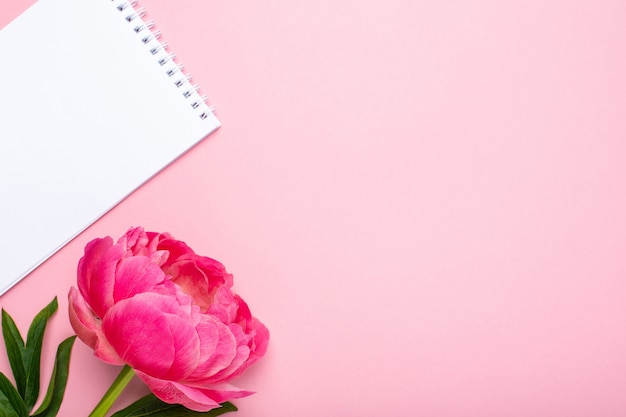 Beautiful pink peony flower and notebook