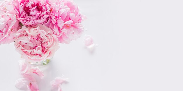 Photo beautiful pink peony flowers. spring bckground