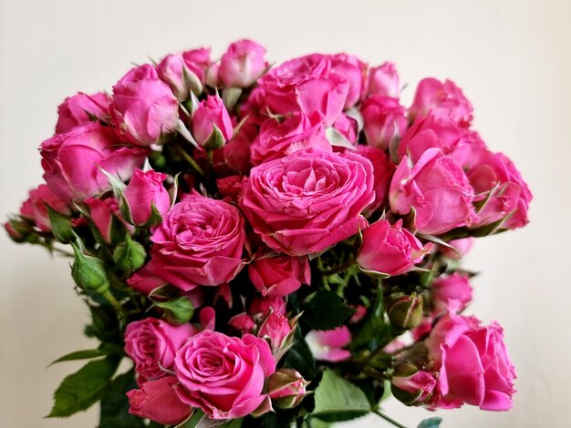 A beautiful pink rose bouquet on white background