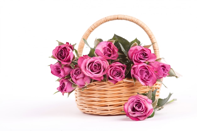 Beautiful pink roses in a wicker basket on white