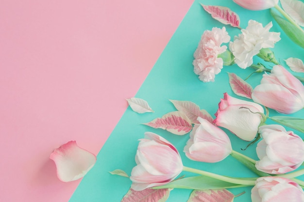 beautiful pink spring flowers on blue background