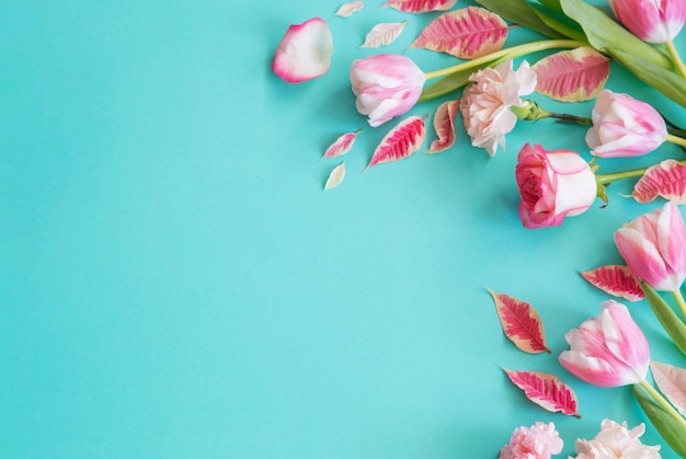 beautiful pink spring flowers on blue background