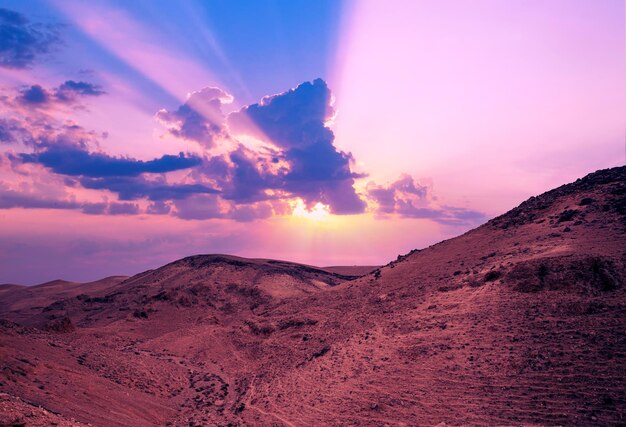 Beautiful pink sunset with sun rays over the desert