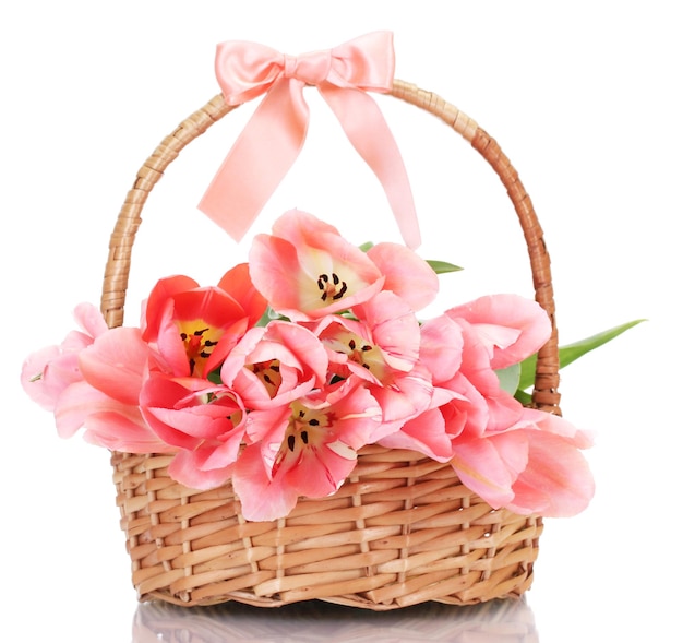 Beautiful pink tulips in basket isolated on white