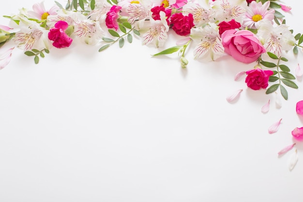 Beautiful pink and white flowers on white background