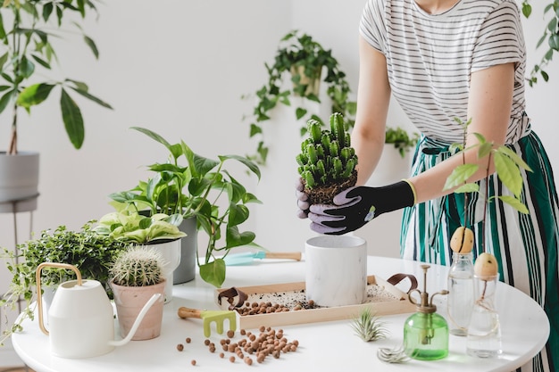 Beautiful process of home gardening Young woman gardener takes care of green plants in stylish marble ceramic pots on the white wooden table Plants love Spring time Stylish interior with plants