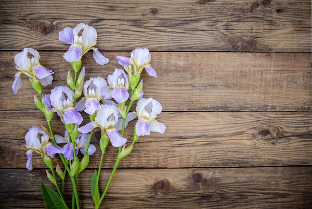 Beautiful purple flowers irises on a wooden rustic surface