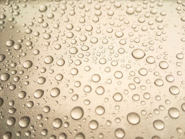 Beautiful rain dew on the top of the car.