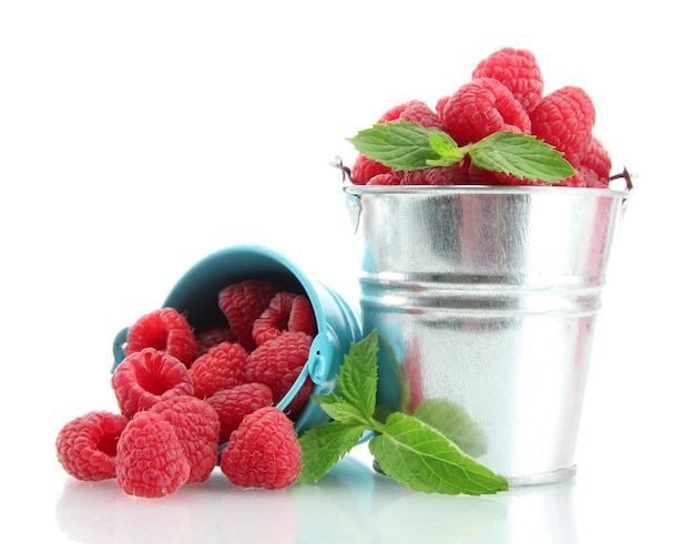 Beautiful raspberries in buckets isolated on white