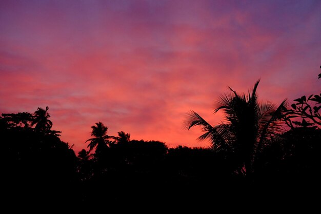 Photo beautiful red asian sunset on the sea palms and clouds