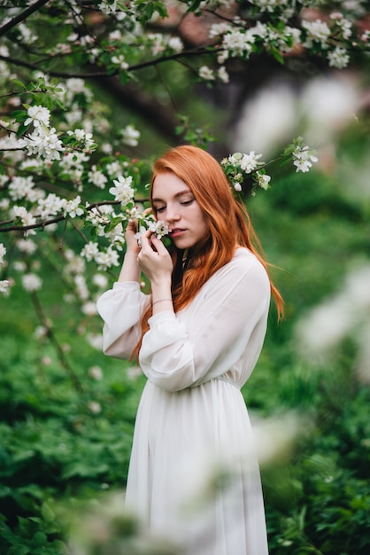 Beautiful red-haired girl in a white dress among blossoming apple trees in the garden 