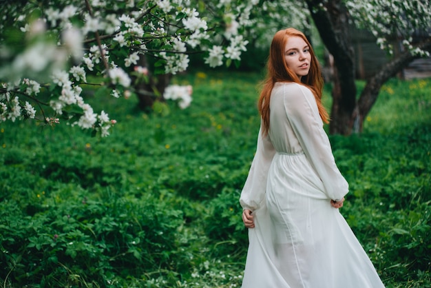 Beautiful red-haired girl in a white dress among blossoming apple trees in the garden 