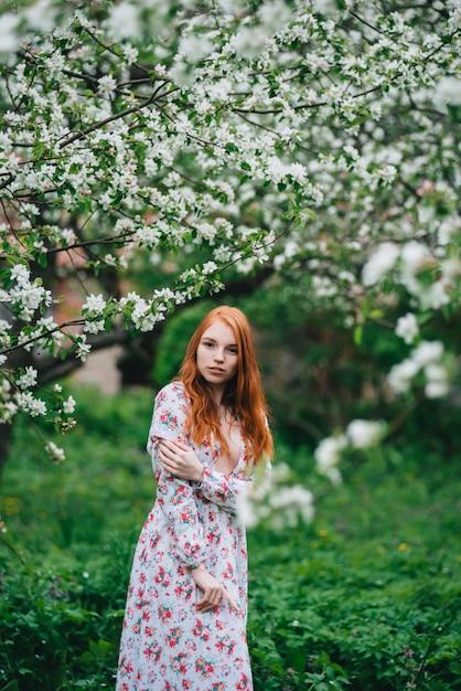 Beautiful red-haired girl in a white dress among blossoming apple trees in the garden 