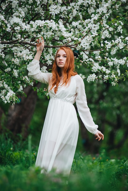 Beautiful red-haired girl in a white dress among blossoming apple trees in the garden 