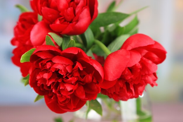 Beautiful red peonies in vase