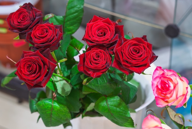 Beautiful red roses for sale at a florist's shop.