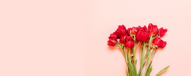 Beautiful red tulips on pink background flat lay.