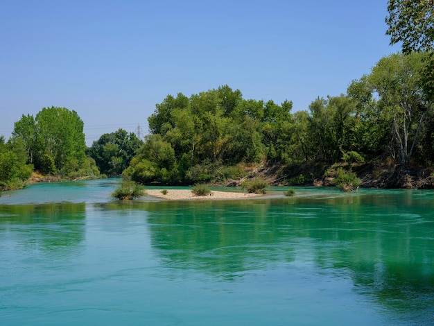 Beautiful river in the forest