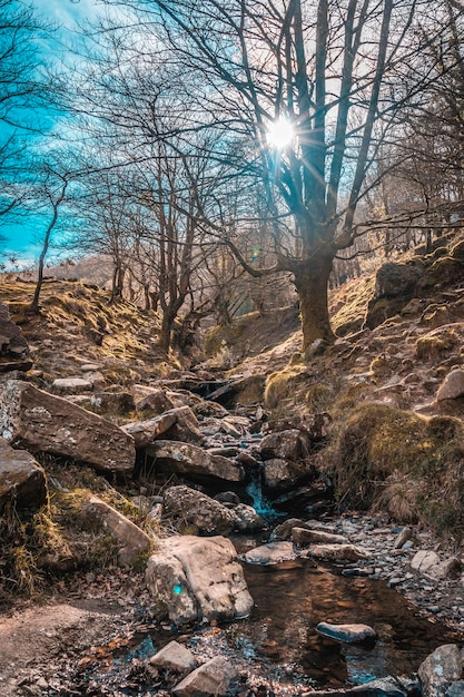 A beautiful river on Mount Adarra in Guipuzcoa Basque Country