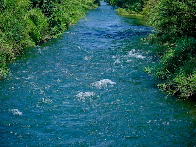 Beautiful river in the nature