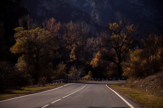 beautiful road in evening lightautumn