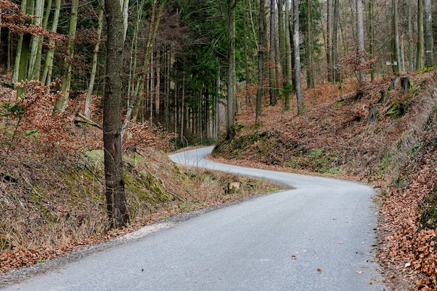 Beautiful road that curves through the forest in autumn.