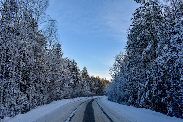 Beautiful road in the winter forest