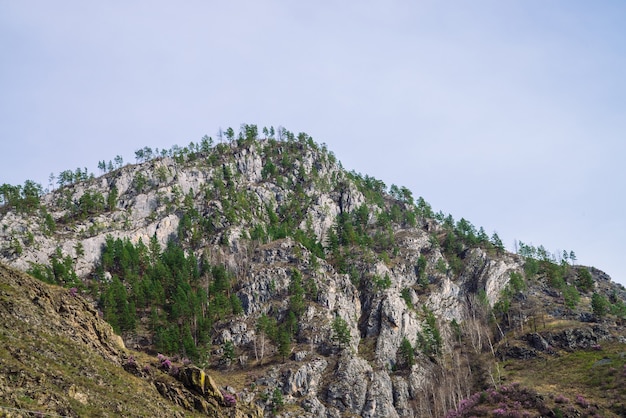 Beautiful rocky green mountain with greenery. Natural textured background with rock and sky.